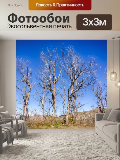 Фотообои Ряд Сгоревшие деревья