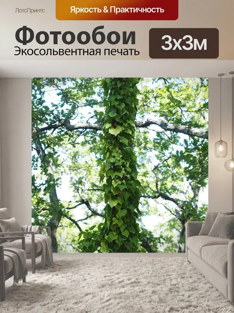 Фотообои Плющ