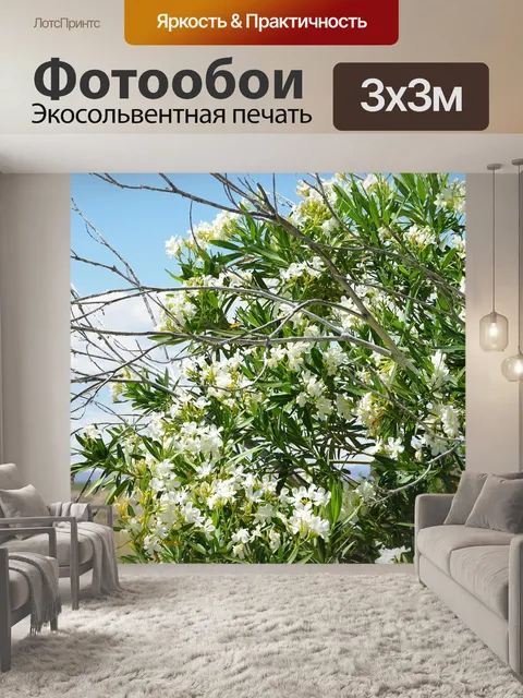 Фотообои Цветы