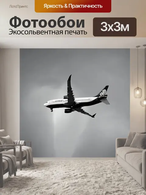 Фотообои самолет в черно-белом стиле, парящий на фоне радуги после дождя