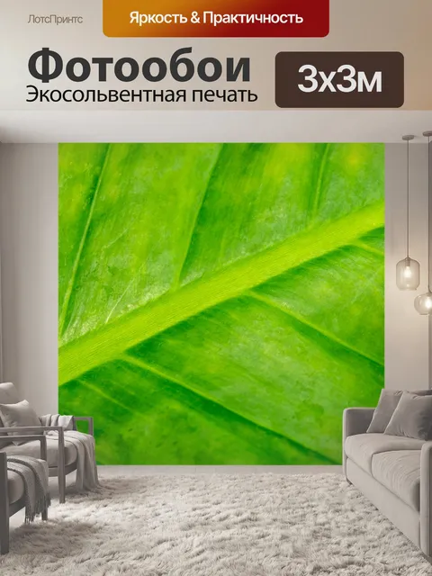 Фотообои Детали зеленого листа
