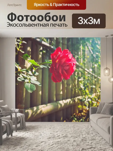 Фотообои Роза