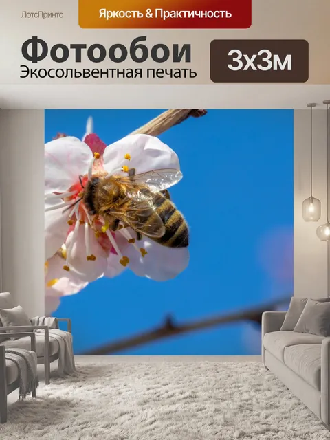 Фотообои опыляющая пчела