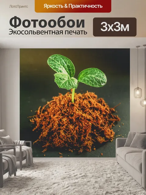 Фотообои Молодой завод деревьев