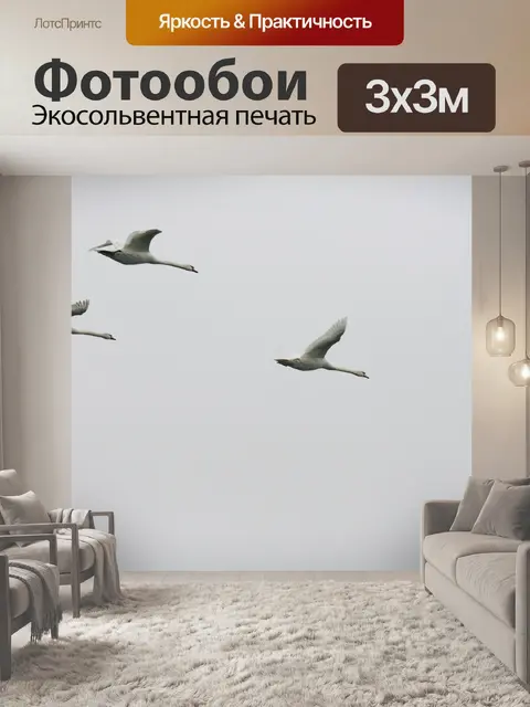 Фотообои Лебедь