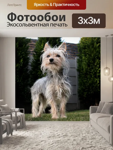 Фотообои Небольшой