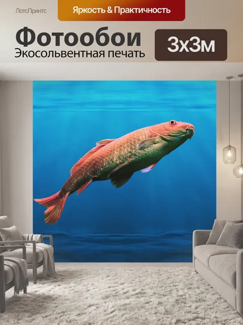 Фотообои Кои Карп Рыба Вода Фоновые обои