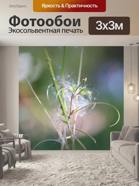 Фотообои Цветок