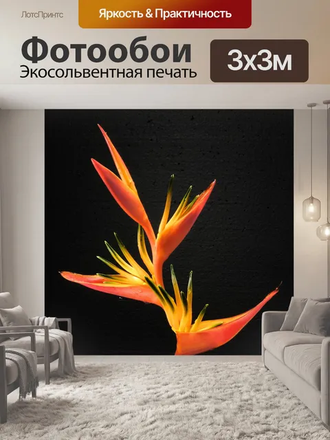 Фотообои Райская птица цветок