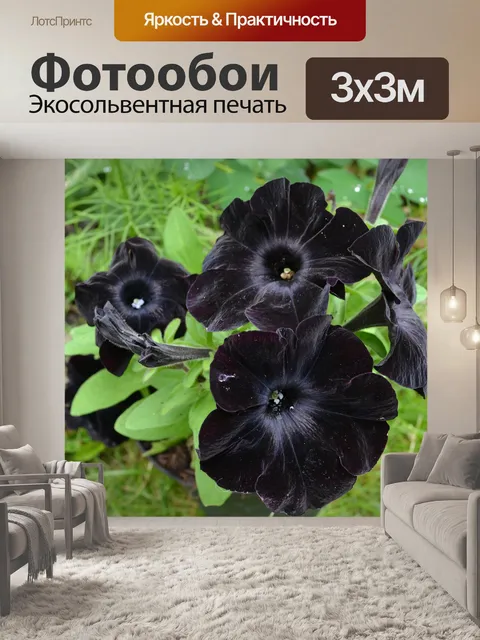 Фотообои Природа