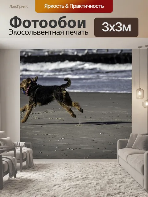Фотообои Собака