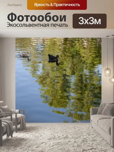Фотообои Плавающие утки