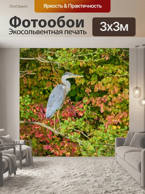 Фотообои Серая цапля