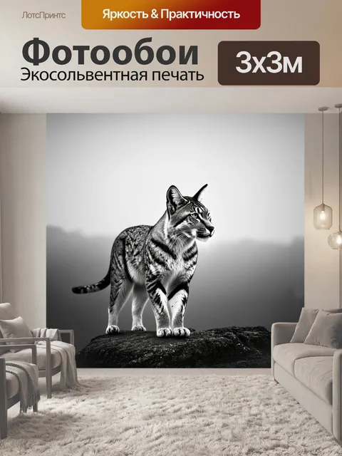 Фотообои рысь, стоящая на утесе и смотрящая вдаль на окружающий ландшафт, окутанный туманом