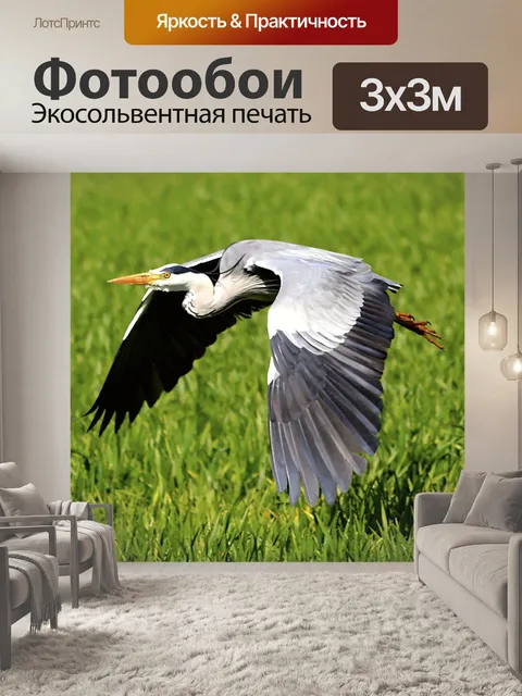 Фотообои Цапля