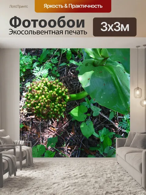Фотообои гроздь семян на кисти лилии