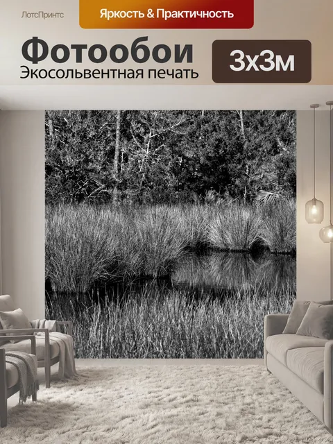 Фотообои Флоридское болото