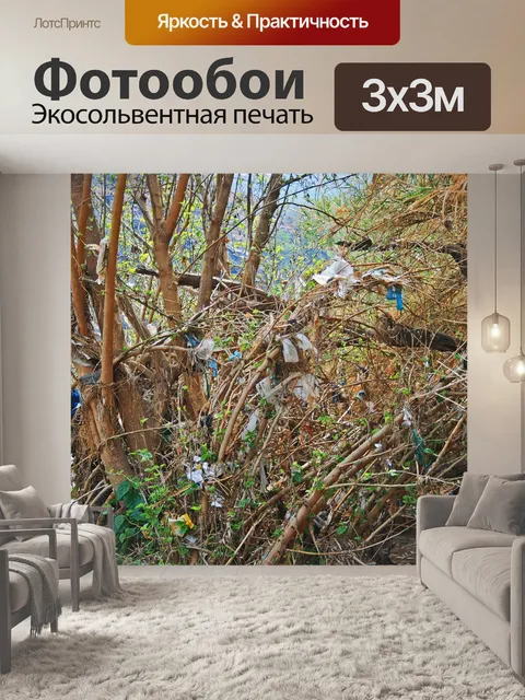 Фотообои щебень застрял в дереве и растительности
