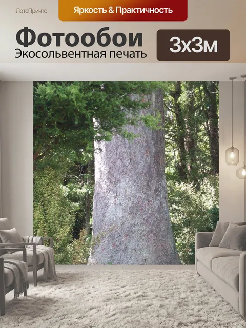 Фотообои Огромный багажник Kauri
