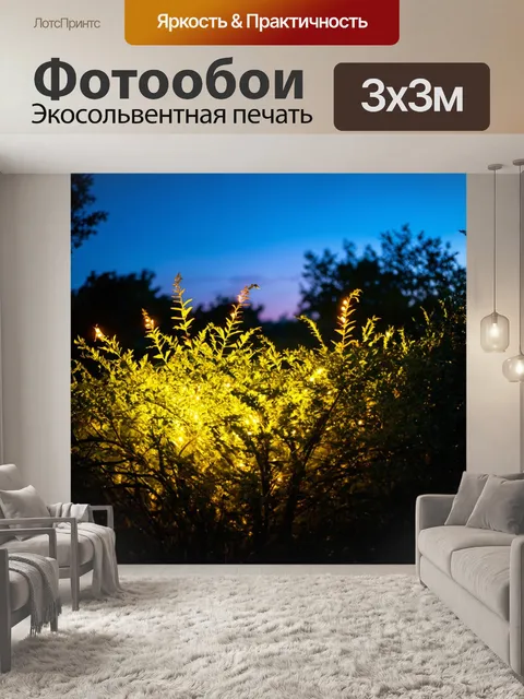 Фотообои летний вечер с огнями на территории, с южной растительностью в фокусе