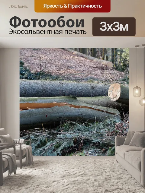 Фотообои Лесные работы