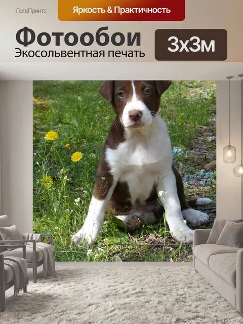 Фотообои Щенок