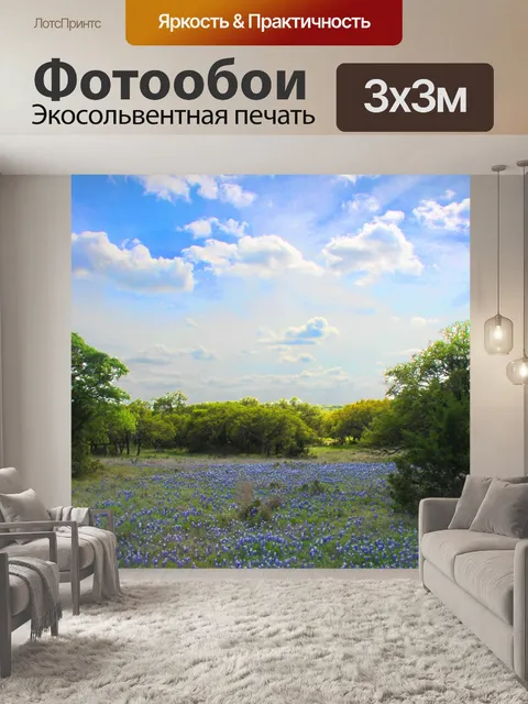 Фотообои Поле Bluebonnets