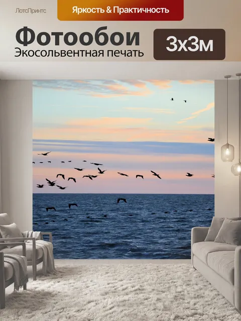 Фотообои Большой баклан