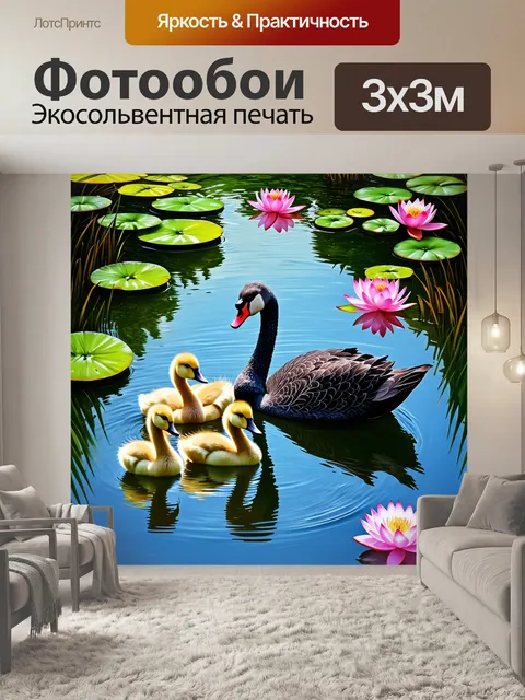 Фотообои лебединое семейство, включая черного лебедя с цыплятами, плавающее по пруду, окруженное яркими цветами лотосов