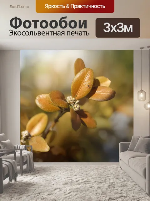 Фотообои Листья