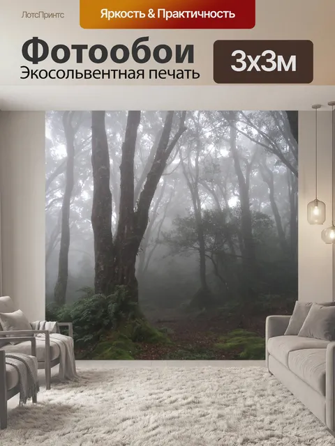 Фотообои Туман