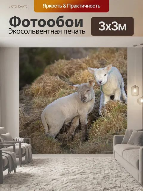Фотообои Пасхальный ягненок