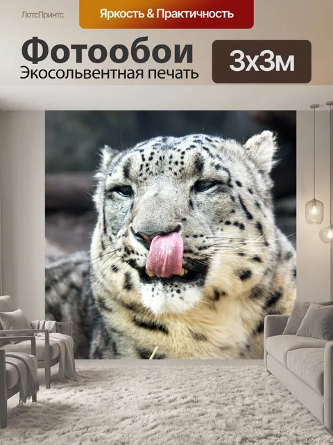 Фотообои Снежный барс лизать