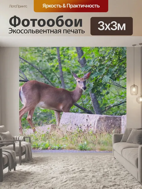 Фотообои Олень