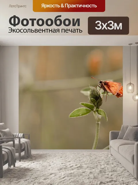Фотообои Бабочка