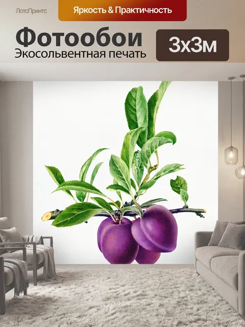 Фотообои Сливы фрукты фрукты арт