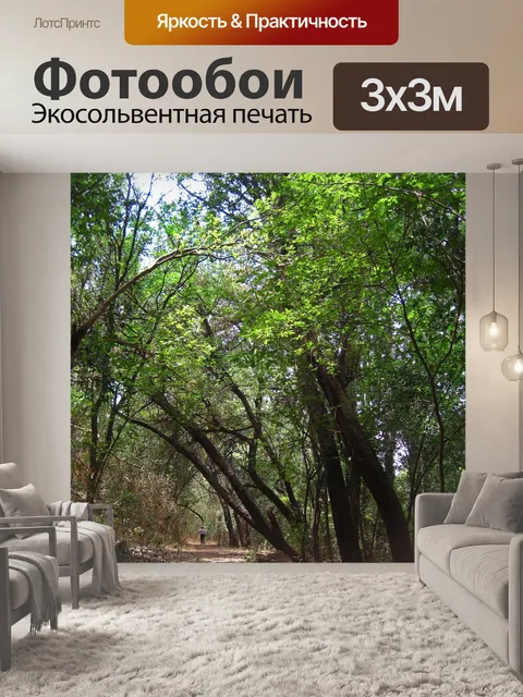 Фотообои пешеходная тропа под зелеными деревьями