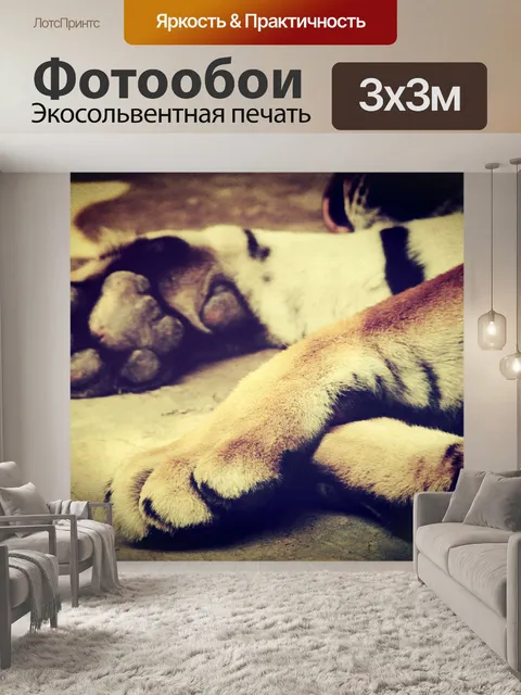 Фотообои тигр в зоопарке Таиланда