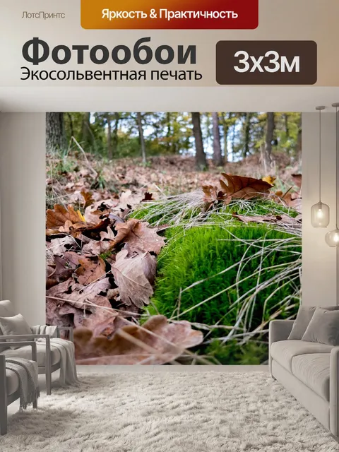 Фотообои Лес