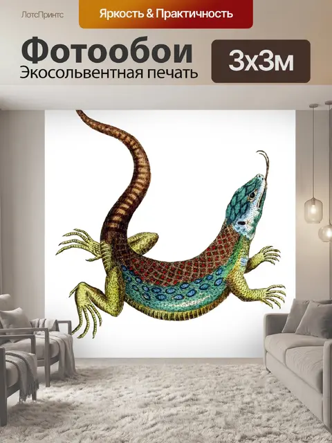 Фотообои Ящерица Винтаж Ящерица Клипарт