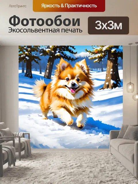 Фотообои зимний пейзаж с померанским шпицем, играющим в снегу, его шкуры контрастируют с белизной снега