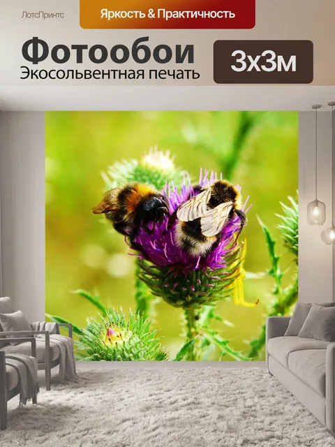 Фотообои Шмель газ