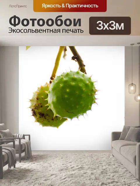 Фотообои каштаны филиал
