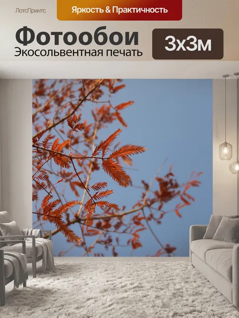 Фотообои Осень