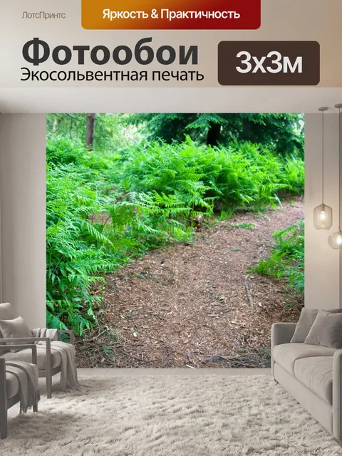 Фотообои Путь In The Forest