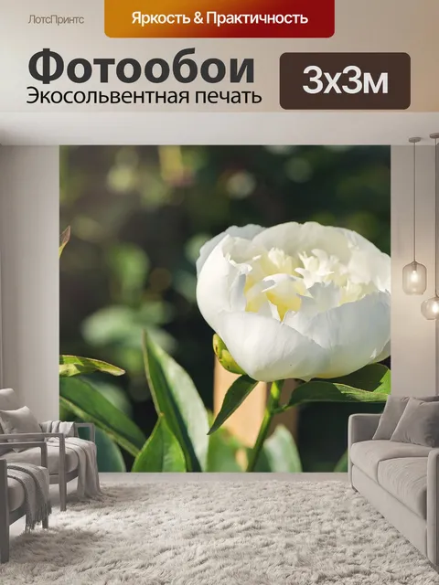 Фотообои Пион