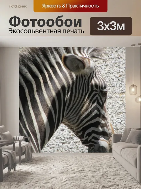 Фотообои зебра