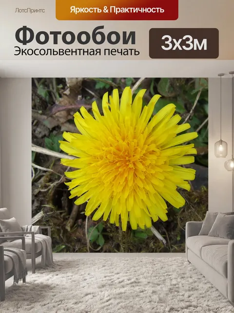 Фотообои Желтый