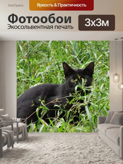 Фотообои Кошка