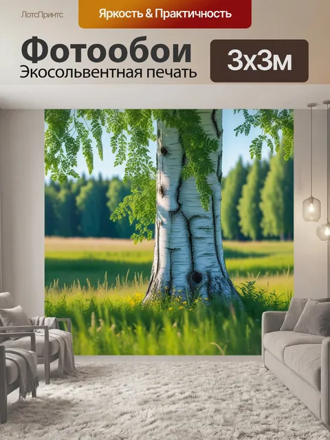 Фотообои березка в солнечном летнем поле